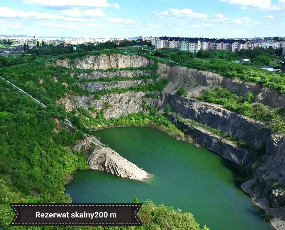 Black Rose Apartament Targi 3 Km, F-Ry Vat Келце Екстериор снимка